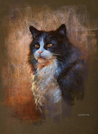 christophe-long-haired-cat-commission-soft-pastel.jpg