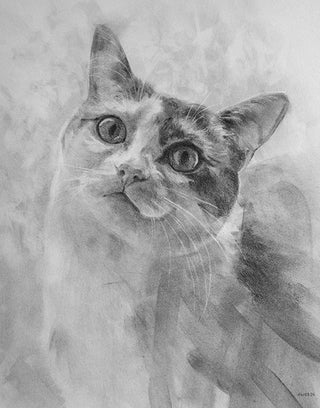 Arthemis-cat-portrait-commission-charcoal.jpg
