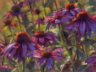 coneflowers-backlit-after-glow-purple-saturated-morning-light-soft-pastel-floral-art.jpg