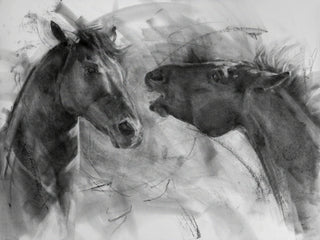 horse-scuffle-explication-portrait-action-attacking-charcoal-drawing.jpg