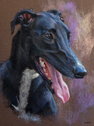 odin-greyhound-dog-portrait-commission-soft-pastel.jpg