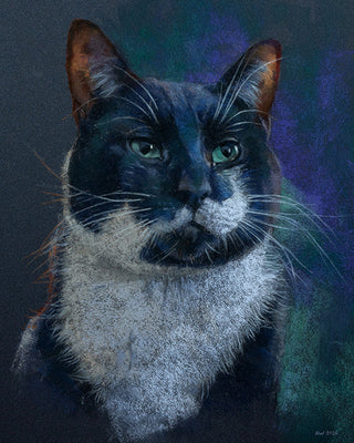 tibere-cat-portrait-tuxedo-commission-soft-pastel.jpg